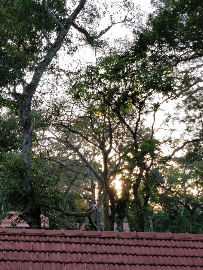 The Birchwood Retreat, Madikeri Hotell Exteriör bild