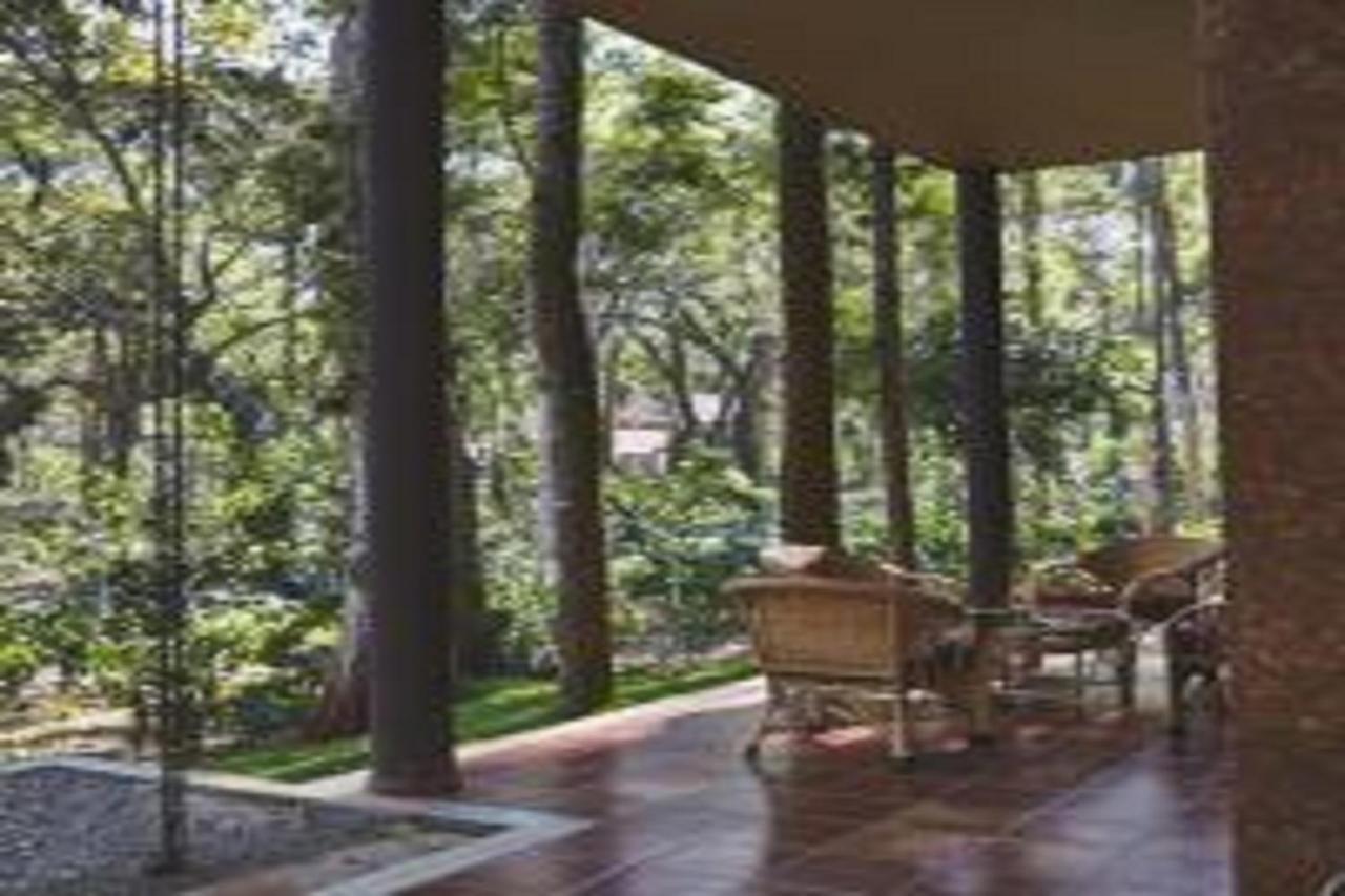 The Birchwood Retreat, Madikeri Hotell Exteriör bild